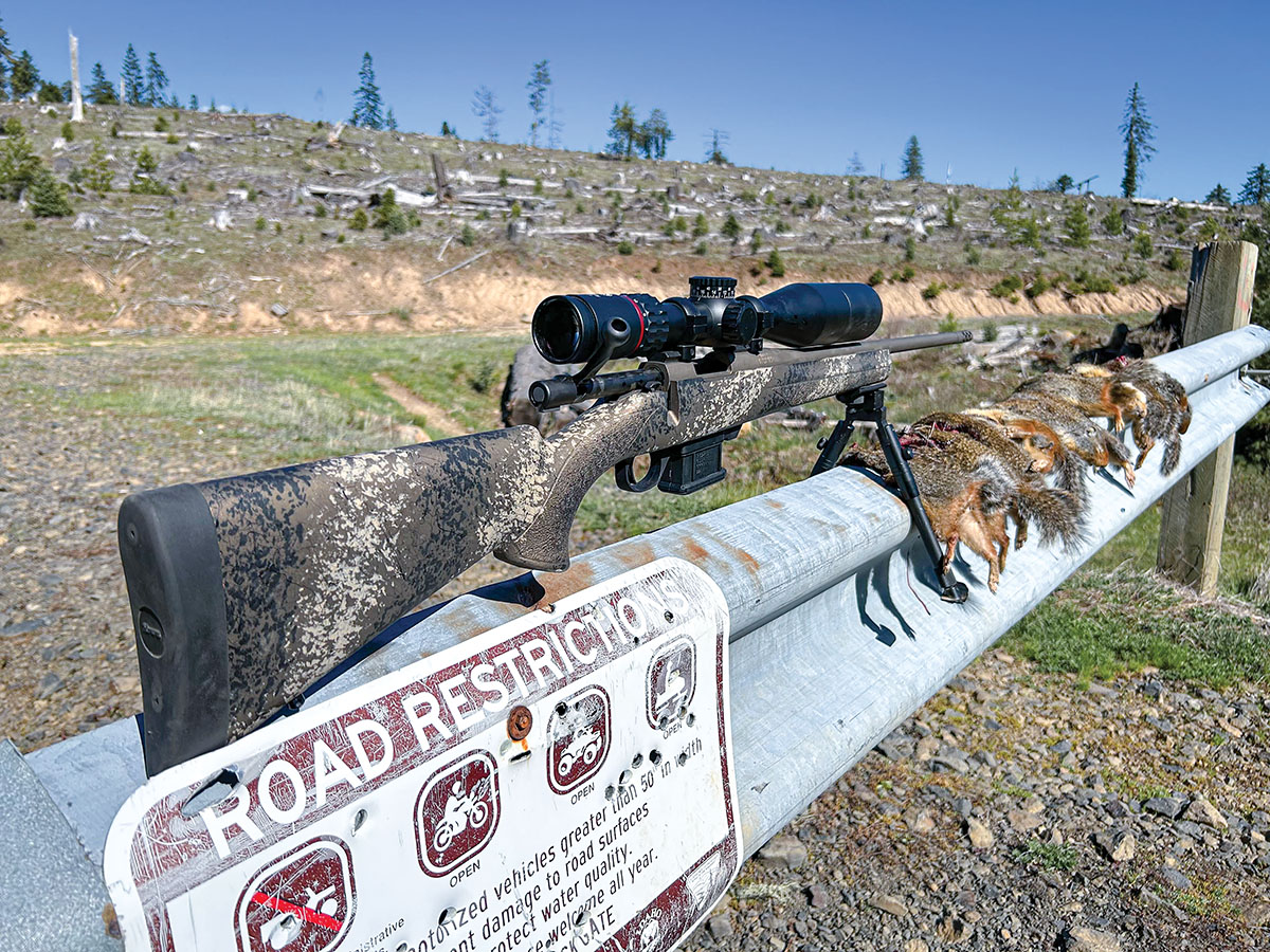 The overall gold motif of the Scorched Earth Fence Line proved much more aesthetically appealing in person than on paper. The creative finish on the Fence Line series synthetic stocks gave the appearance of a much more expensive rifle.
